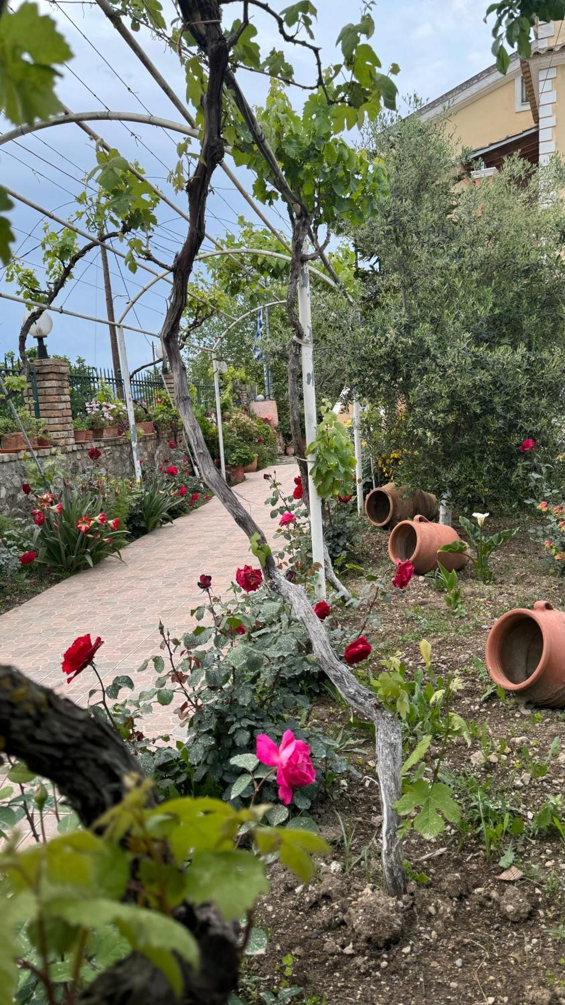 Apartment Apidalos Naus